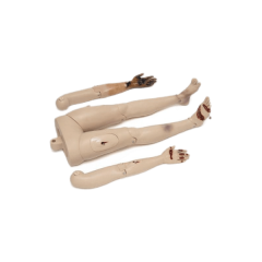 output (10).png
