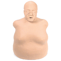 290_fat_old_fred