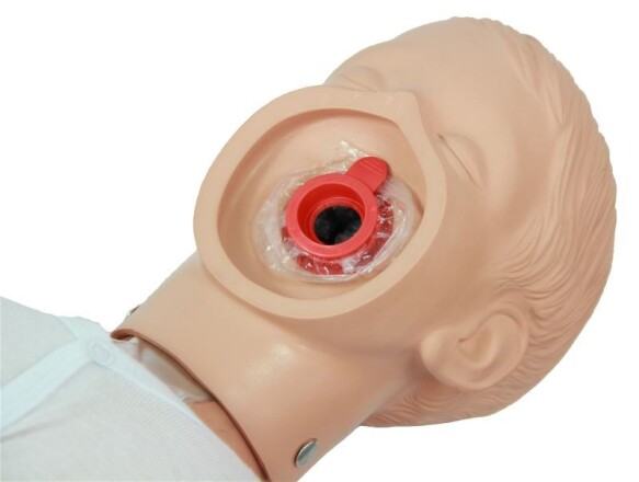 620_ambu-junior-head_800_800
